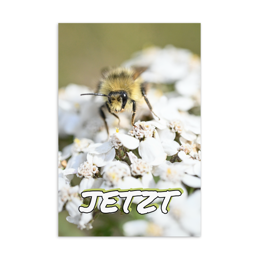 Postkarte - Jetzt